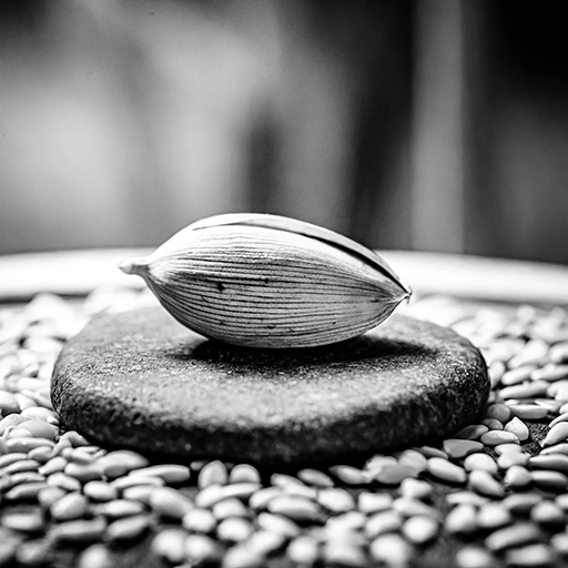 A seed symbolizing the ignition of aspirations, where dreams evolve from vague concepts into tangible targets.